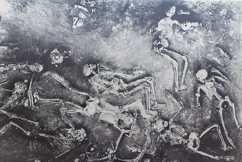 File:Painting of the skeletons found during the digging.jpg