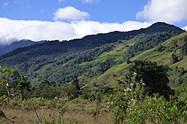 Paisaje - Boquía - Vista desde la marguen del Río Quindío (14507433659).jpg