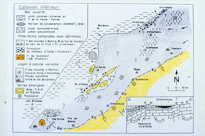 File:Paléogéo. Callovien inf..jpg