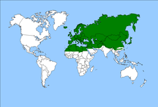 Palearktická oblast, hlavní oblast rozšíření Typhlodromus pyri