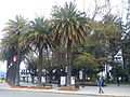 Miniatura para Plaza de Armas de Curicó