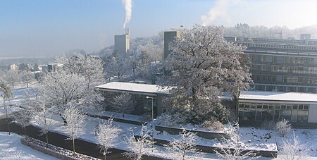 Panorama eth-hpt-tree.jpg