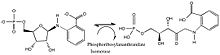 reaction catalyzed by phosphoribosylanthranilate isomerase Phosphoribosylanthranilate isomerase.jpg