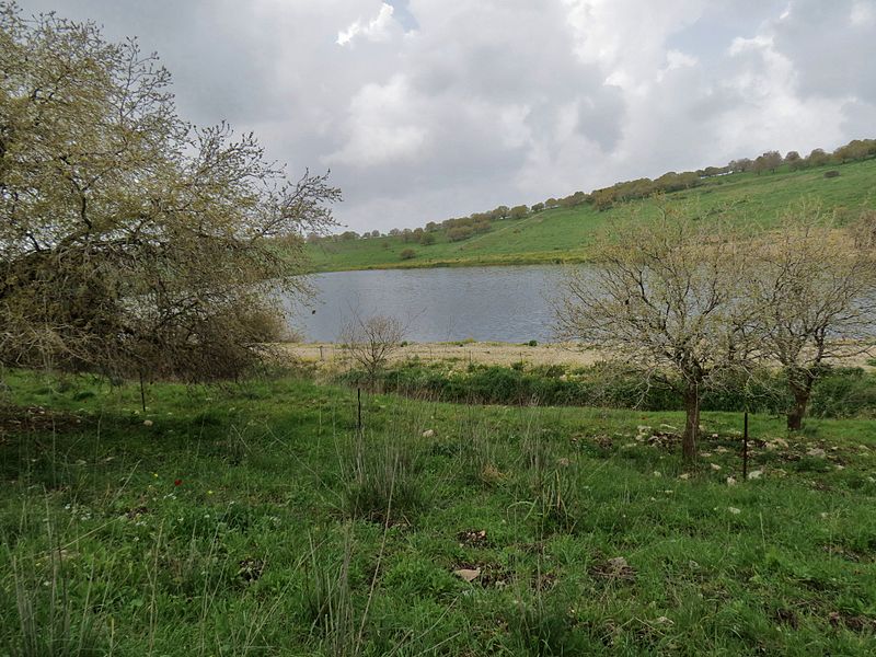 File:PikiWiki Israel 38125 Nature and Colors.JPG