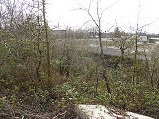 <span class="mw-page-title-main">Pincent's Kiln</span> Site of Special Scientific Interest near Reading in the English county of Berkshire