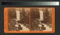 Piwyac, or the Vernal Fall, 300 feet, Yosemite Valley, Mariposa County, Cal (NYPL b11707313-G89F391 098F).tiff