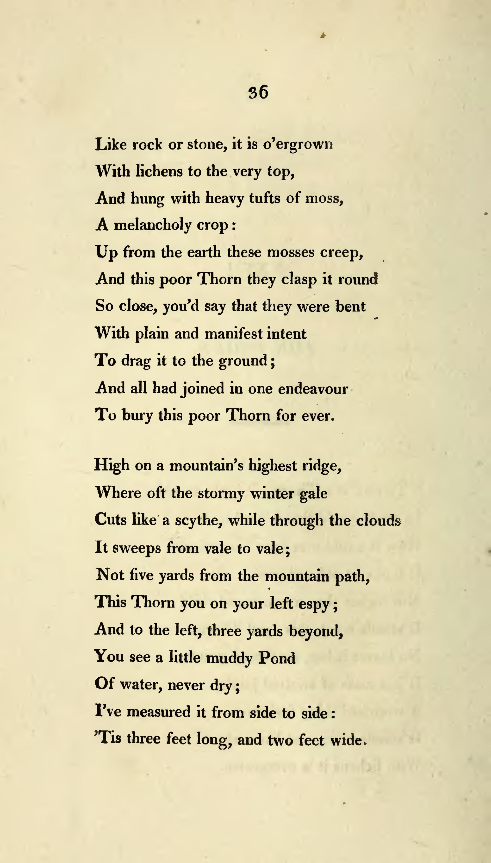 Literature, art and song: Moore's melodies and American poems; . While she  stole thro the gardenease was growing,She culld some, and kissd off its  nigAnd a rose, further on, lookd so