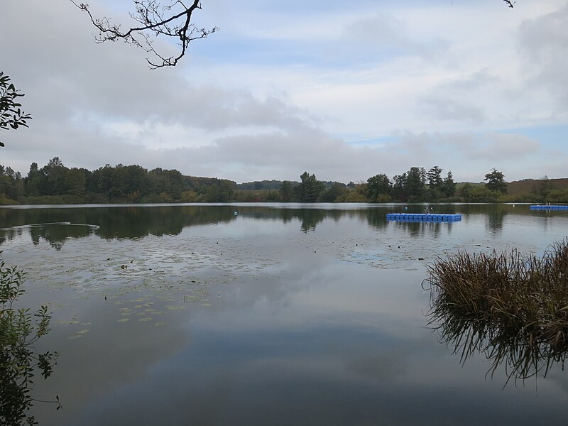 File:Poggensee Gewaesser.JPG