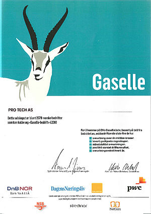 Pro Tech AS Gaselle 2010.jpg