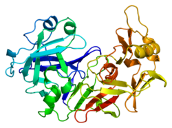 Ақуыз PGA5 PDB 1flh.png