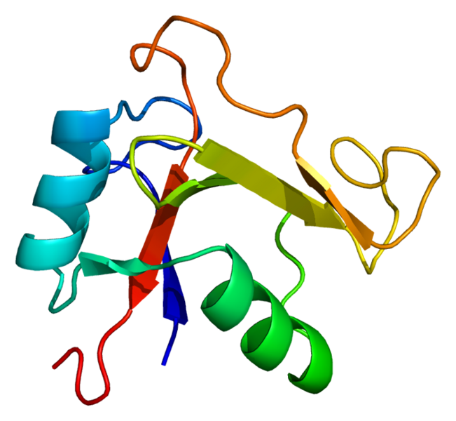 File:Protein TNFAIP6 PDB 1o7b.png