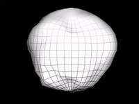 Fail:Proteus 3D model (mesh).ogv