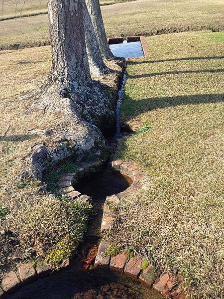 File:Providence Spring outflow.JPG