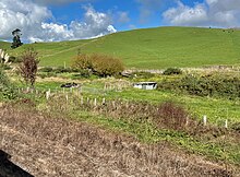 Puketutu station site in 2023. Station and houses have gone Puketutu station site.jpg