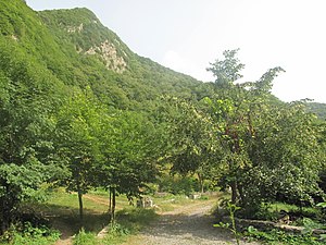 Mountain forests in Gakh Qax rayonu 0134.JPG