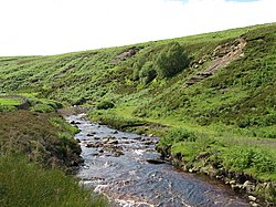 Quickcleugh Membakar dekat Heatheryburn Pertanian (2) - geograph.org.inggris - 508361.jpg