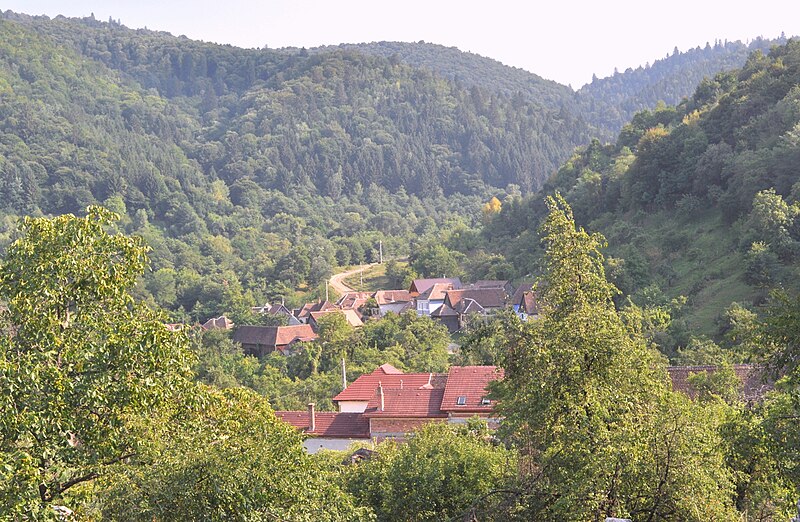 File:RO SB Fantanele Panorama.JPG