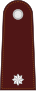 Police Sub Lieutenant