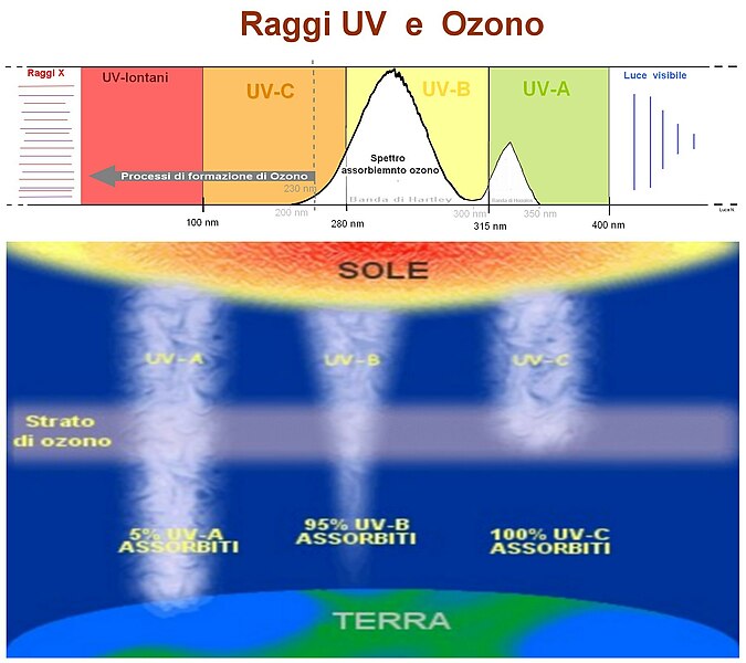 File:Raggi UV e Ozono.jpg