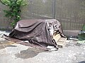 Tarp protecting stack of cardboard boxes being used for constructing boats