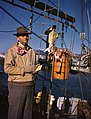 Recording the day's catch at the docks in Sarasota, Florida (9371145514).jpg