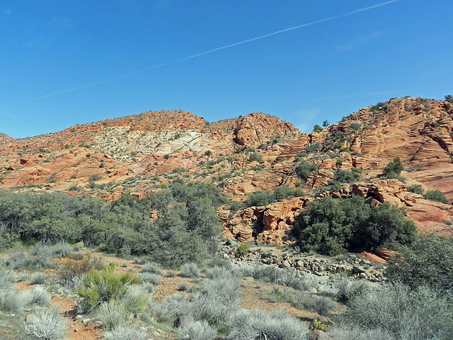 Red Cliffs National Conservation Area - Wikipedia