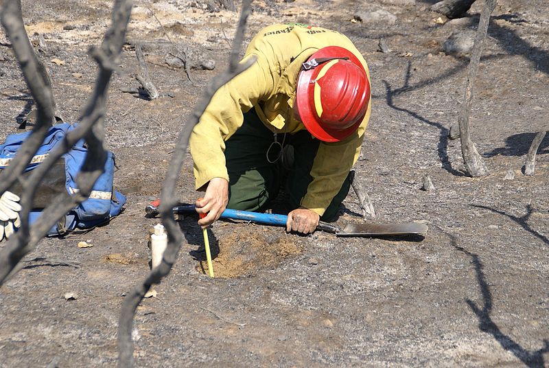 File:Rim Fire 20130817-FS-UNK-0075 (9773287145).jpg