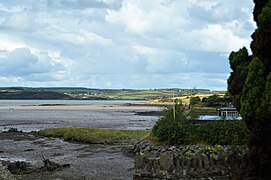 River Shannon - geograph.org.uk - 5971295.jpg