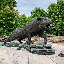 Statue representing SpiRIT on the Quarter Mile (dedicated 1989) Rochester Institute of Technology Bengal Tiger statue.jpg