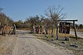 Roy's Rest Camp - Namibie - panoramio.jpg