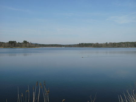 Russweiher 2011