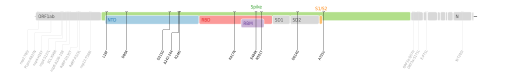 Pandémie De Covid-19: Chronologie, Données et caractéristiques épidémiologiques, Virus