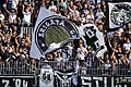 supporters of SK Sturm Graz