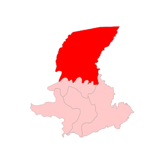 <span class="mw-page-title-main">Sadiya Assembly constituency</span> Constituency of the Assam legislative assembly in India