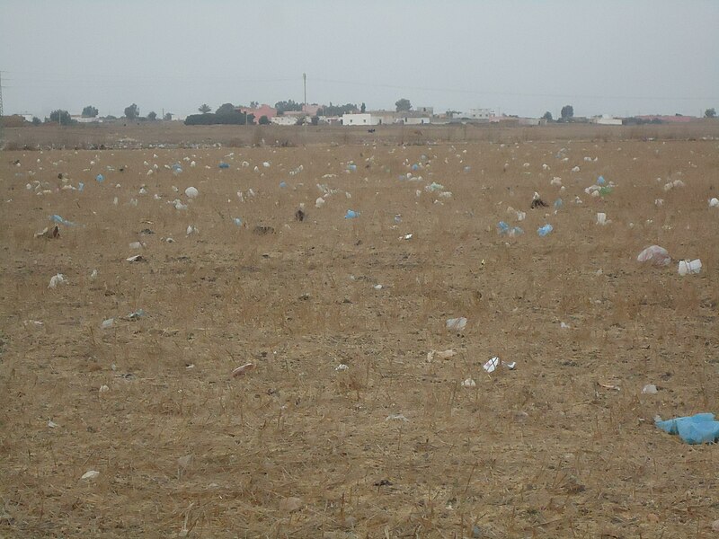 File:Saetchots plastike Sebt Od Bou3ziz.JPG