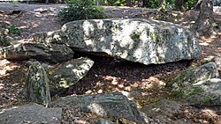 Illustrasjonsbilde av artikkelen Dolmen des Rossignols