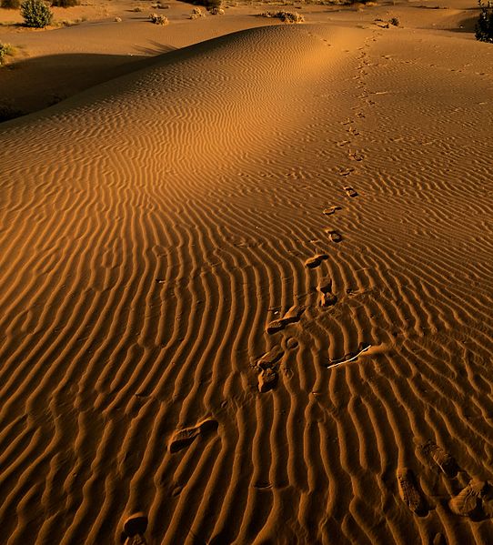 File:Sam Sand Dunes.jpg