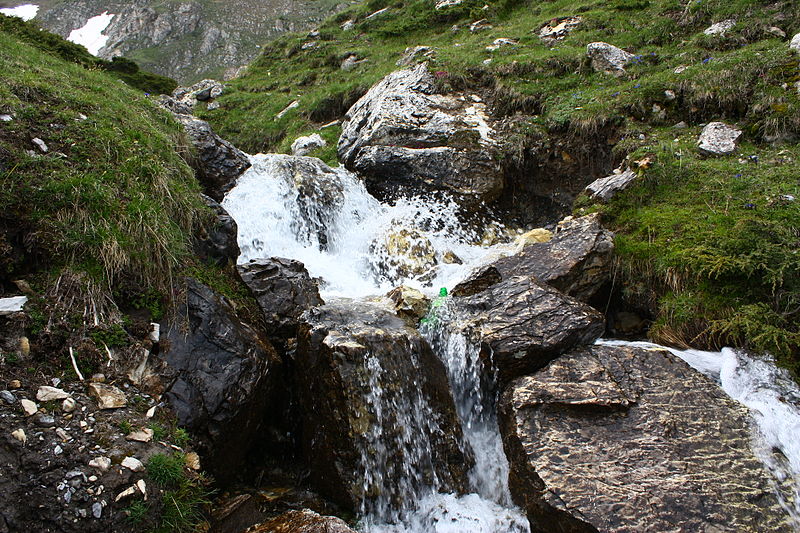 File:Sar Planina Maj 2010 (117).jpg