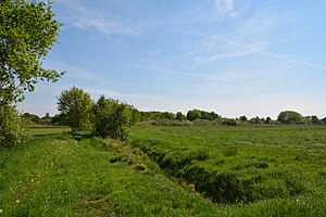 Schleswig-Holstein, Delve, Landschaftsschutzgebiet Südermoor bei Schwienhusen NIK 2507.jpg