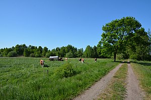 Schleswig-Holstein, Hennstedt, Landschaftsschutzgebiet Hennstedter Moor NIK 2664.jpg