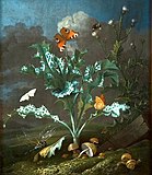 Thistles and Butterflies label QS:Len,"Thistles and Butterflies" label QS:Lpl,"Osty i motyle" label QS:Lnl,"Distels en vlinders" 1660-1670. oil on canvas medium QS:P186,Q296955;P186,Q12321255,P518,Q861259 . 42.8 × 37 cm (16.8 × 14.5 in). Kraków, National Museum in Kraków.