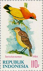 Thumbnail for File:Sericulus aureus 1984 Indonesia stamp.jpg