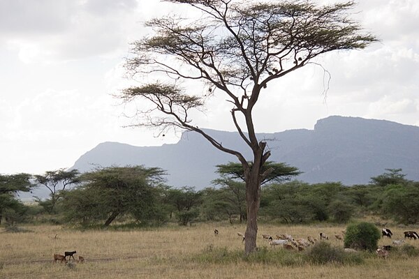 The Shaba National Reserve in Kenya