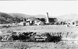 The retorts of British Australian Oil Co. at Murrurundi (Mitchell Library, State Library of N.S.W.) Shaleworks - Murrurundi, NSW, File FL1705487 (State Library of NSW).jpg