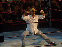 Shawn Michaels posant pour la foule au centre du ring.