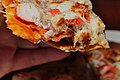 Slice of pita pizza with imitation crab.jpg