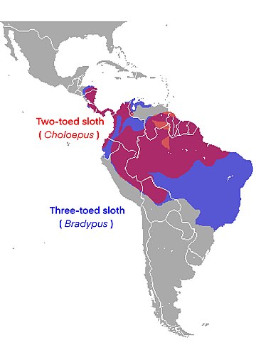 File:Sloth range.jpg