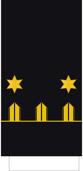 File:Spain-Marines-OF-1b.svg