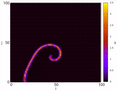 Example of spiral waves for the Two-dimensional Chialvo map in 100 x 100 lattice and parameters a=0.89, b=0.6, c= 0.26, and k=0.02. SpiralChialvomap.gif