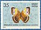 Stamp of India - 1981 - Colnect 208627 - Northern Jungle Queen Stichophthalma camadeva.jpeg